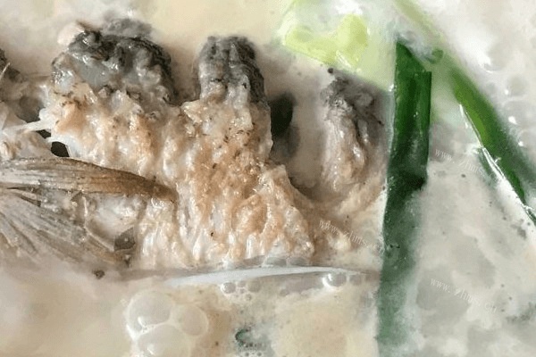 滋补的鲤鱼汤做法图解3)