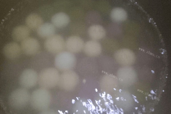 水果汤圆做法图解5)