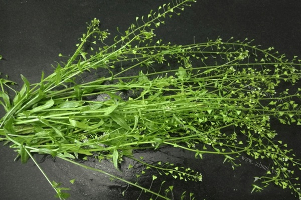 荠菜煮鸡蛋做法图解1)