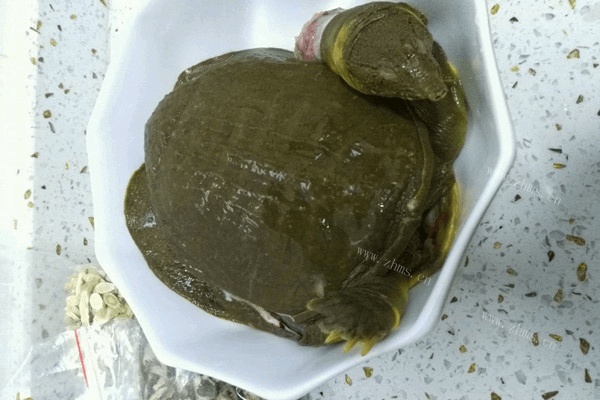 甲鱼汤做法图解1)