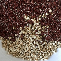 红颜 赤小豆薏米芡实祛湿水的做法图解三