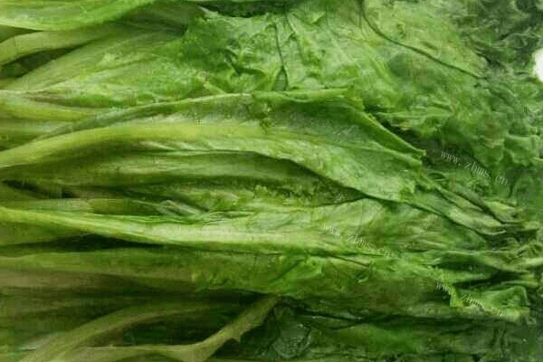 蒜泥蚝油生菜做法图解4)