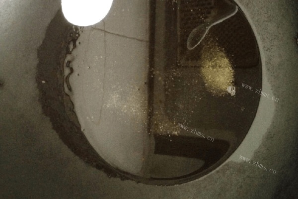 自制豆豉鲮鱼做法图解3)