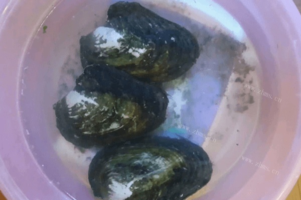 美味的小炒河蚌肉做法图解1)