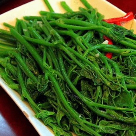 好吃的白灼佛手瓜苗