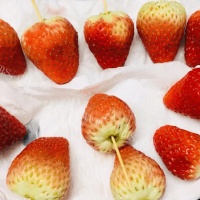 自制冰糖葫芦-草莓版的做法图解二