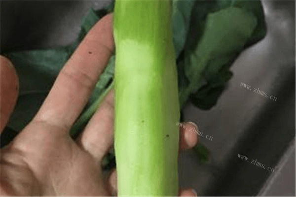 清炒芥兰做法图解2)
