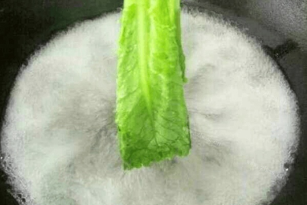 蒜泥蚝油生菜做法图解3)