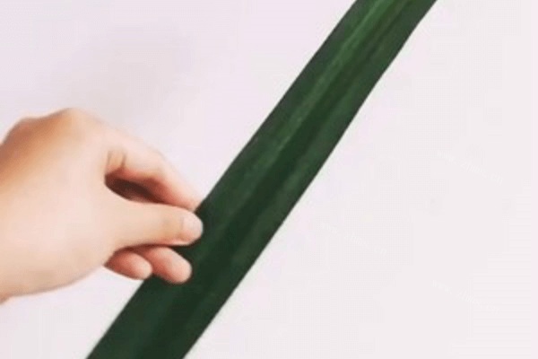 椰浆饭的做法做法图解2)