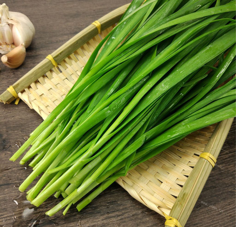 苦荞韭菜饼，与青团不同的美味做法图解3)