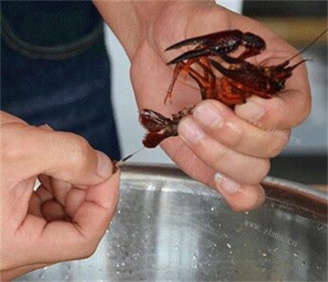 油焖大虾做法图解2)