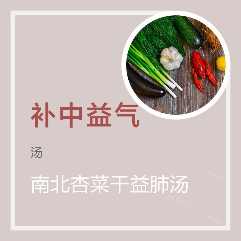 南北杏菜干益肺汤