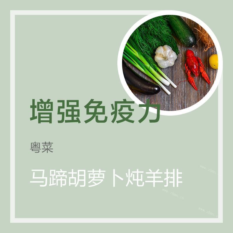 马蹄胡萝卜炖羊排