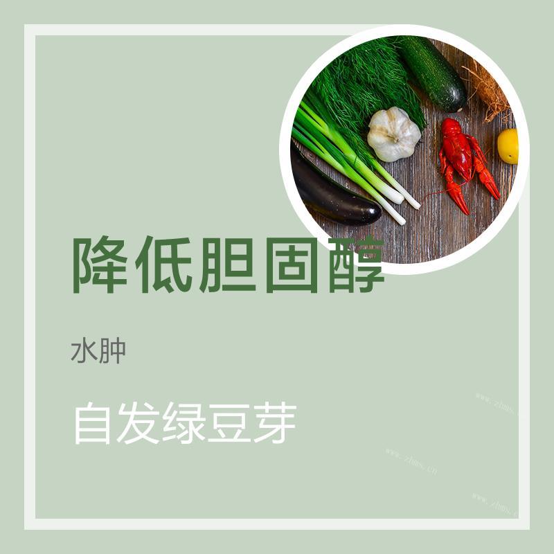 自发绿豆芽